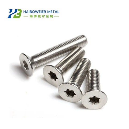 Titanium Torx Bolts